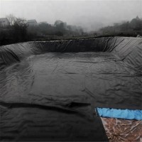 hdpe geomembrane sheet hdpe pond liner for fish or shrimp